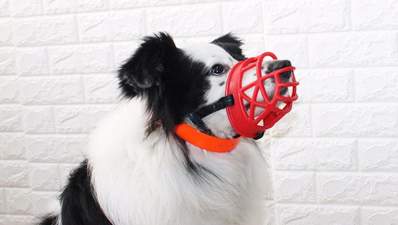 Muselière confortable et souple en silicone pour chien Accessoire chien couleur: Gris|Noir|Rouge
