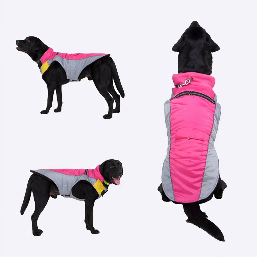 Veste polaire imperméable bicolore Veste polaire imperméable bicolore pour chien
