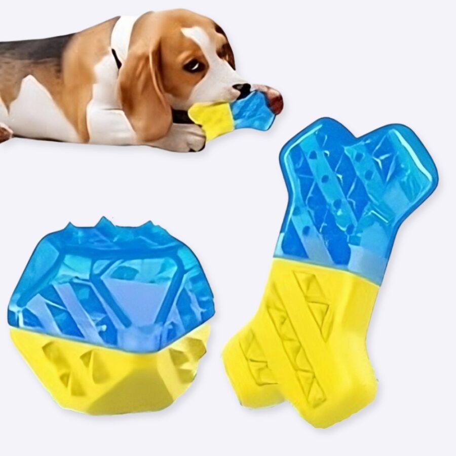 Jouets à mâcher rafraichissant pour chien Accessoire chien Jouets pour chien : Balle|Os|Poisson