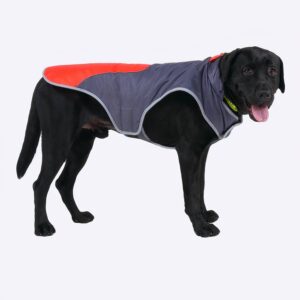 Manteau polaire réfléchissant pour chiens Manteau pour chien Vêtement chien couleur: Bleu|Orange|Rouge