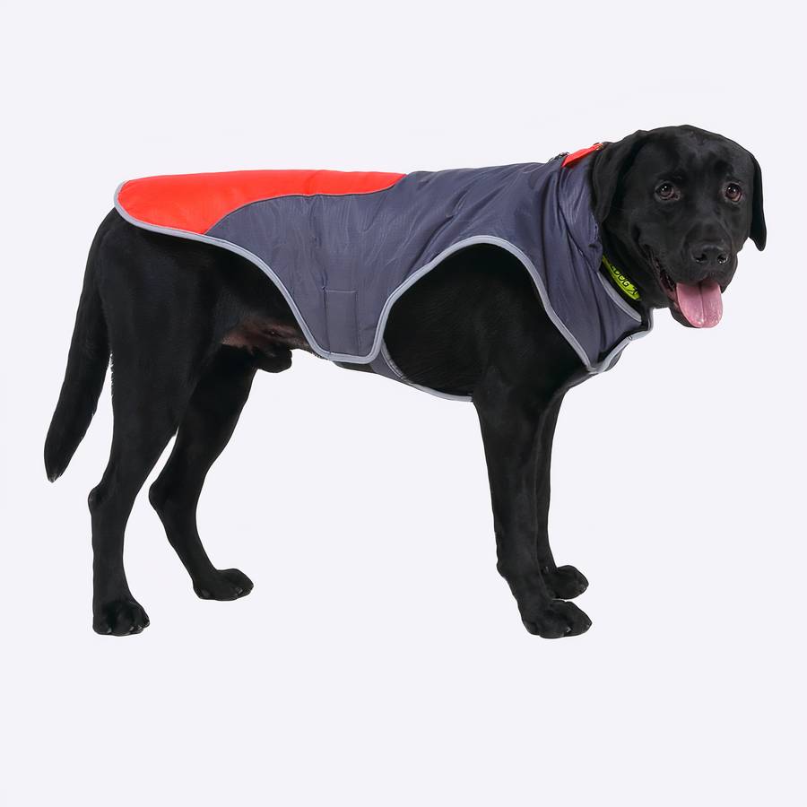 Manteau polaire réfléchissant pour chiens Manteau polaire réfléchissant pour chiens Manteau pour chien Vêtement chien couleur: Bleu|Orange|Rouge