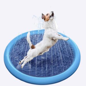 Tapis jet d’eau d’eau pour chien Accessoire chien couleur: Bleu|Bleu clair