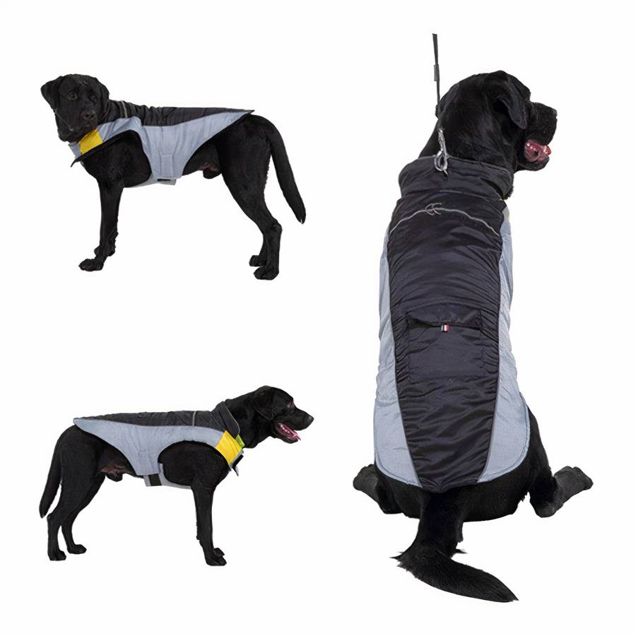Veste polaire imperméable bicolore Veste polaire imperméable bicolore Vêtement chien Manteau pour chien couleur: Noir|Orange|Rose