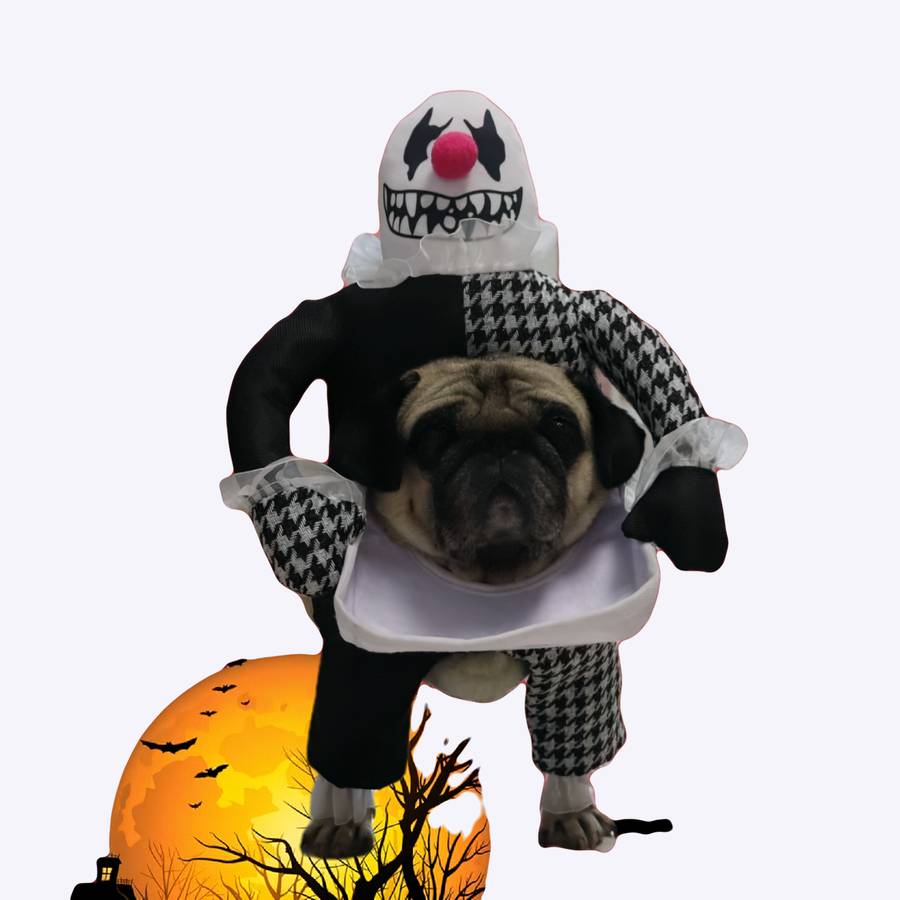 Déguisement Halloween Chien Fantôme Blanc - Cape Avec 5 Trous Pour Tête Et Queue - Tissu Léger, Confortable - Costume Fête Animaux