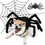 Déguisement d'halloween en forme d'araignée