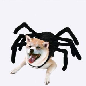 Déguisement d'halloween en forme d'araignée