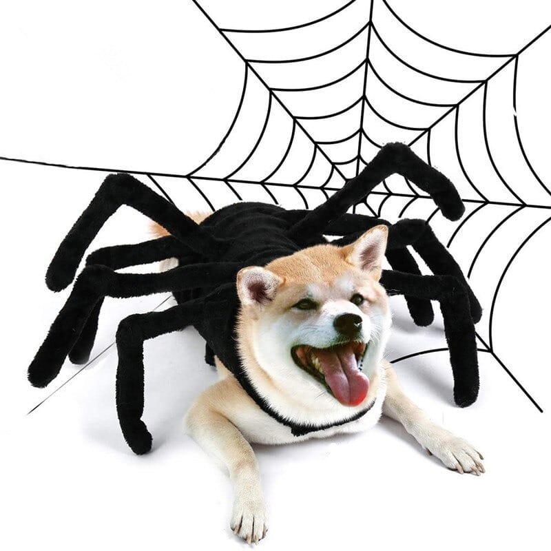 Déguisement d’halloween en forme d’araignée pour chien Déguisement pour chien Vêtement chien taille: S|M|L|XL|XXL