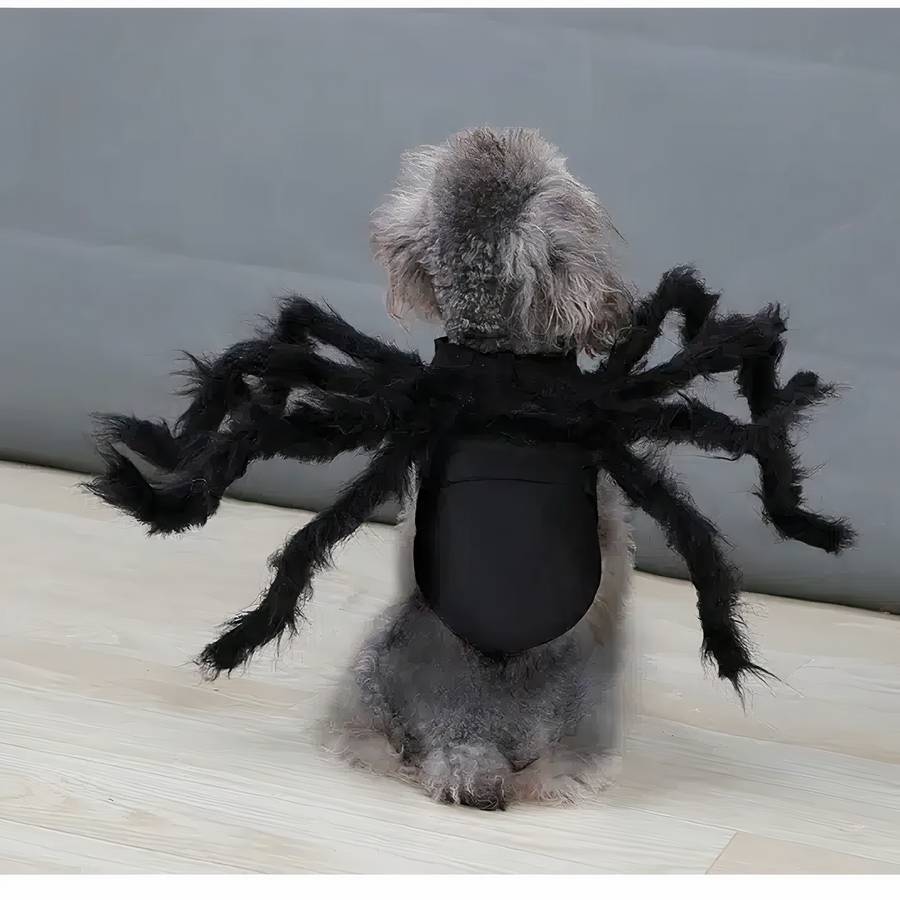 Peluche Araignée Mignonne, 25cm Peluche Araignée Dhalloween