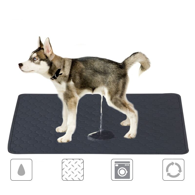 Tapis de propreté lavable et réutilisable pour chien Tapis de propreté pour chien Tapis pour chiens couleur: Beige|Gris