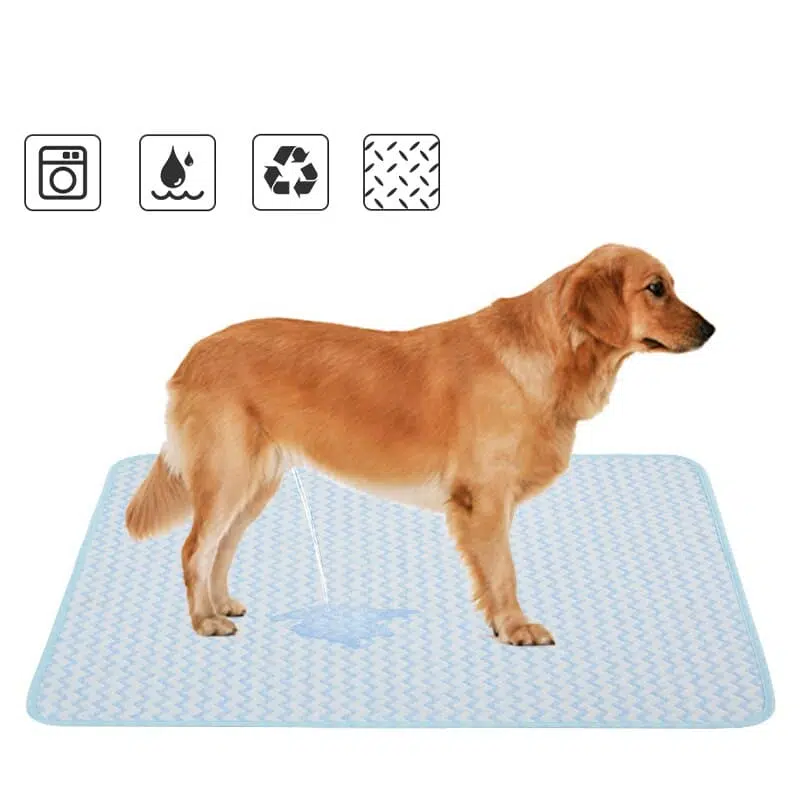 Tapis pipi chien - réutilisable - absorbant et lavable