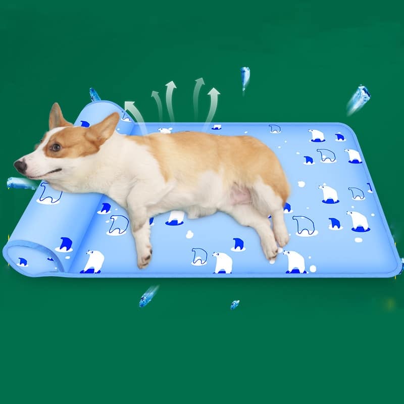 Tapis Rafraîchissant Pour Chien Et Chat - Auto-refroidissant Sans Eau - 70x55 Cm Bleu - Confort Été Canicule