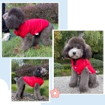 Manteau d’hiver confortable en duvet pour chien Manteau pour chien Vêtement chien couleur: Rouge|Vert