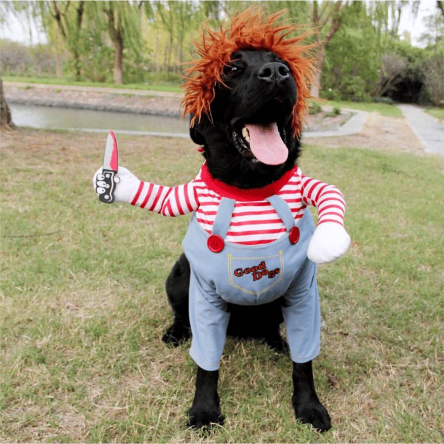 Déguisement halloween pour chien Chucky Déguisement halloween pour chien Déguisement pour chien Vêtement chien pa_couleur: