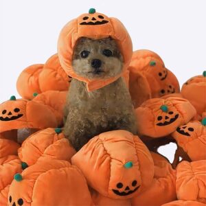 Déguisement halloween pour chien citrouille Déguisement halloween pour chien Déguisement pour chien Vêtement chien couleur: Orange