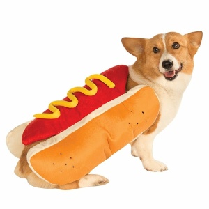 Déguisement halloween pour chien en forme de hot dog de couleur rouge, orange, jaune et beige porté par un chien au pelage beige