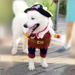 Déguisement halloween pour chien pirate Déguisement halloween pour chien Déguisement pour chien pa_couleur: