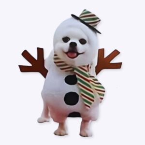 Déguisement de noël pour chien bonhomme de neige Déguisement de noël pour chien Déguisement pour chien Vêtement chien couleur: Blanc
