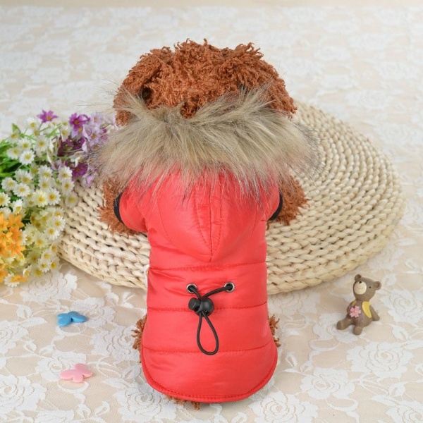 Manteau d’hiver à capuche en fourrure douce pour chien Manteau pour chien Vêtement chien couleur: Gris|Rouge|Vert