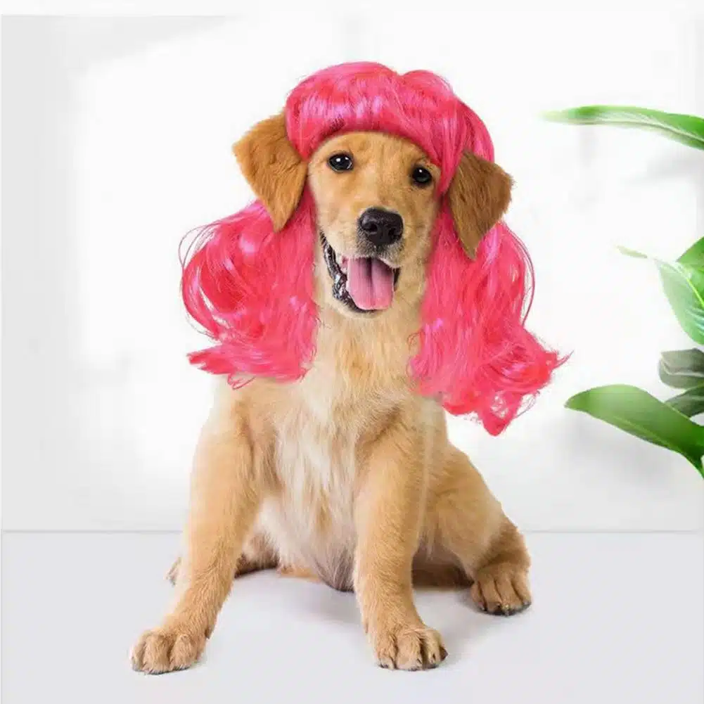 Perruque pour chien cheveux bouclés Déguisement pour chien Perruques pour chien couleur: Orange|Rose