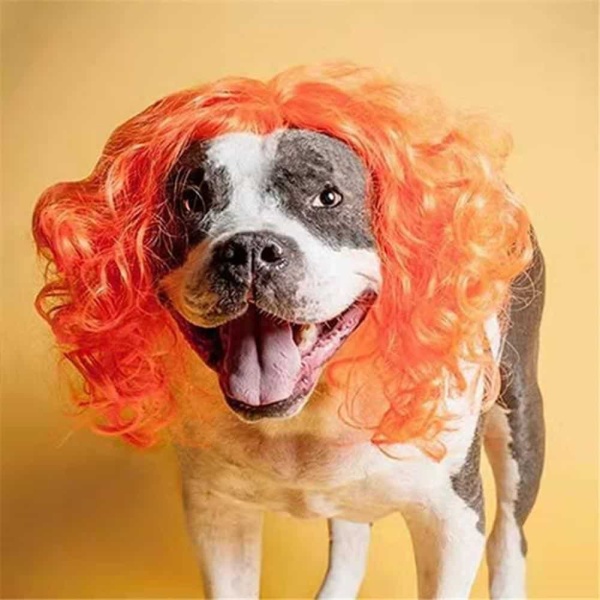 Perruque pour chien cheveux bouclés Déguisement pour chien Perruques pour chien couleur: Orange|Rose