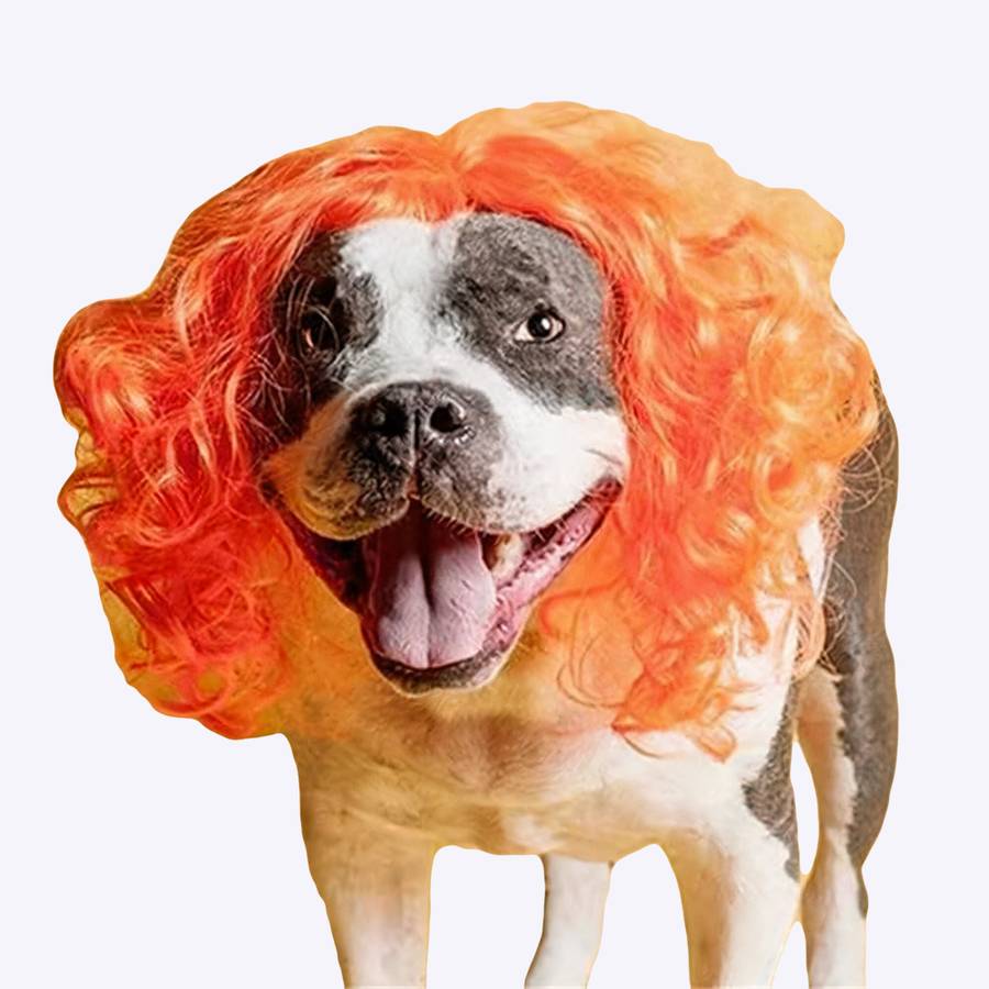 Perruque pour chien cheveux bouclés Perruque pour chien cheveux bouclés Déguisement pour chien Perruques pour chien couleur: Orange|Rose