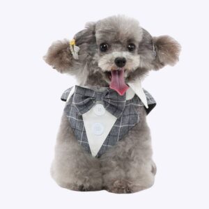 Déguisement halloween pour chien Peaky Blinders de couleur gris et blanc avec un nœud papillon porté par un chien au pelage gris