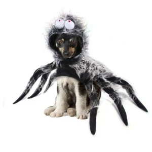 Déguisement Halloween pour chien ne forme d'araignée à 6 pattes de couleur blanche et noire, porté par un chien au pelage blanc et noir