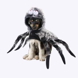 Déguisement Halloween pour chien ne forme d'araignée à 6 pattes de couleur blanche et noire, porté par un chien au pelage blanc et noir