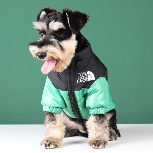 Doudoune pour chien de couleur verte et noir porté par un chien au pelage beige et noir devant un mur de couleur vert et un sol blanc