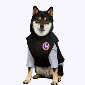 Doudoune pour chien de couleur noir avec un logo de couleur bleu et rouge, porté par un chien au pelage noir, beige et blanc sur un sol et un mur gris