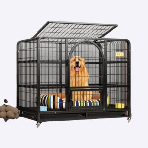 Parc pour chien de couleur noir en métal sur roulettes avec un chien assis dans un panier dans un salon au sol blanc et mur gris