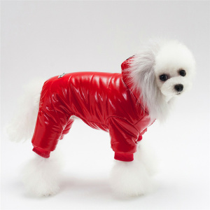 Doudoune pour chien de couleur rouge avec capuche porté par un chien au pelage blanc