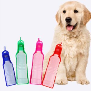 Quatre gourdes pour chien colorées et chien assit à côté. Sur un fond blanc.