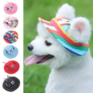UN chien blanc de profil avec une casquette multicolore sur la tête. Sur la gauche toutes les autres variantes de couleurs de la casquette, rose, fleurie, multicolore, bleu, rouge et noire. En fond du gazon.