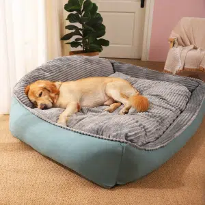 chien installé allongé sur un e lit pour chien de grande taille, vert, avec un duvet gris doux sur le dessus, installé sans un salon près d'une plante verte