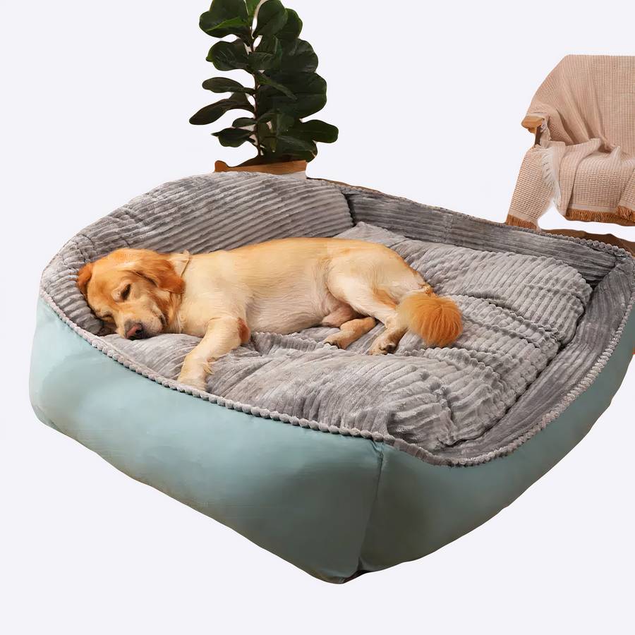 Canapé-lit d'hiver pour chiens duveteux chien installé allongé sur un e lit pour chien de grande taille, vert, avec un duvet gris doux sur le dessus, installé sans un salon près d'une plante verte