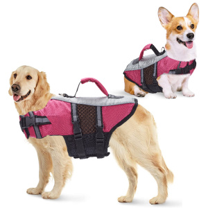 Deux chiens , un grand et un petit portant tous deux des gilets de sauvetage pour chien rose avec poignée