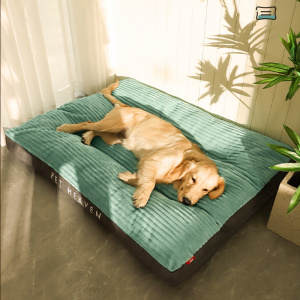 Chien confortablement installé sur un lit amovible pour chien vert, dans un salon près d'une plante verte