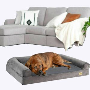 Grand chien marron allongé sur un lit orthopédique pour chien près d'un canapé gris