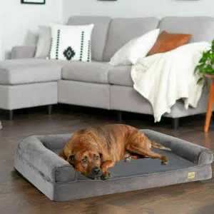 Grand chien marron allongé sur un lit orthopédique pour chien près d'un canapé gris