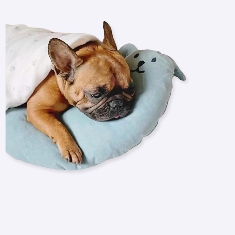 Coussin confortable pour chien