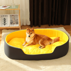 chien installé dans un grand lit pour chien, jaune à l'intérieur et noir à l'extérieur, installé sur un tapis dans un salon