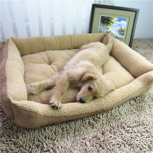 Un chien est allongé dans un lit grande taille pour chien, de couleur beige, installé sur un tapis
