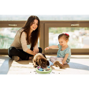 Femme avec un petit garçon qui regarde leur petit chien marron manger dans le puzzle vert avec des croquettes à côté du puzzle