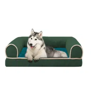 panier pour chien en forme de canapé vert, avec un gros chien installé dessus, il est présenté sur fond blanc