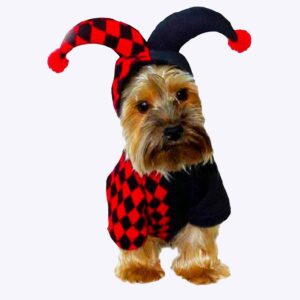 un petit chien est vêtu d'un déguisement d'halloween de saltimbanque noir et et rouge à carreaux, avec un chapeau avec deux pompons, présenté sur fond blanc
