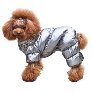 chien caniche qui porte une doudoune pour chien argentée style fashion, présenté sur fond blanc