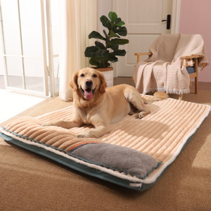 grand chien allongé sur un lit pour chien beige et doux, avec coussin intégré, se trouve dans un salon près d'une fenêtre