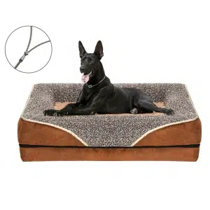 présenté sur fond blanc, un canapé pour chien beige et marron, sur lequel est installé un chien noir