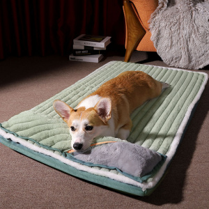 chien marron allongé sur un lit pour chien vert , doux , avec coussin intégré